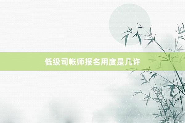 低级司帐师报名用度是几许