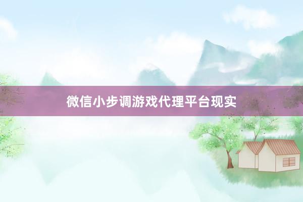 微信小步调游戏代理平台现实
